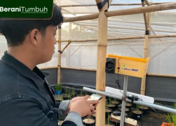 Mahasiswa UNPAD Kembangkan Inovasi “SmartRUF-D” yang Mampu Tingkatkan Efisiensi Fotosintesis Padi Urban Farm